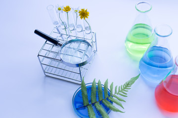 Backgrounds of plants for analysis in laboratory.