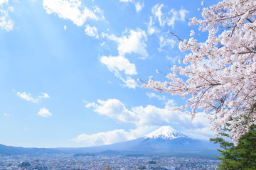 富士山と桜