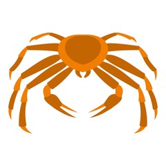 Crab sea animal icon isolated