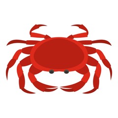 Big red crab icon isolated