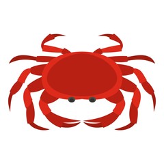 Big red crab icon isolated