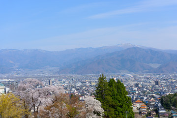 長野　桜と町並み　善光寺雲上殿からの眺め