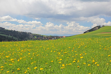 Fototapeta premium Längenberg, Alpen, Schweiz 