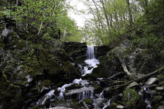 Wandern im Laubachtal