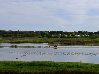 autour de Noirmoutier en île