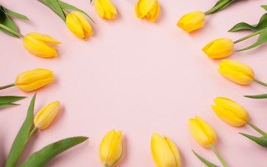 Yellow tulips in circle