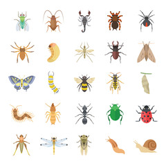 Insects color vector icons