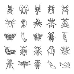 Insects outlines vector icons