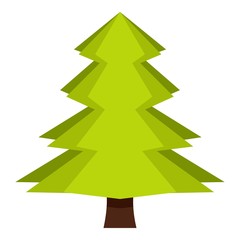 Fototapeta premium Canadian fir icon isolated