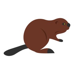 North American beaver icon isolated
