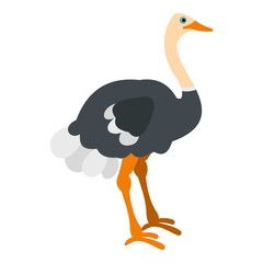 Ostrich icon isolated