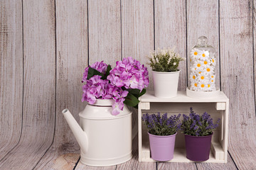 Lavanda en maceteros, margaritas, y hortensias en regadera metálica.