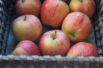 Wicker basket with fresh apples.