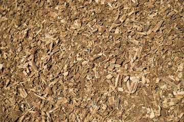Fototapeta premium Biomass background