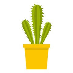 Potted cactus icon isolated
