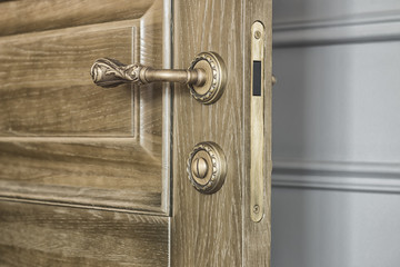 Door leaf with a bronze cast handle and a latch.