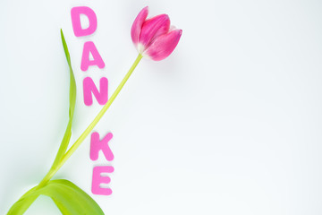 Das Wort Danke mit pink farbenen Buchstaben und einer Tulpe auf weißem Hintergrund