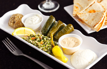Greek Combo Appetizer Platter