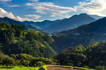 Naklejka premium rice field landscape and arch bridge in Takachiho, Miyazaki, Japan.