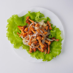 Marinated mushrooms with lettuce on the white plate