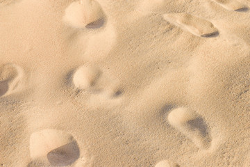 Beach closeup sand texture background
