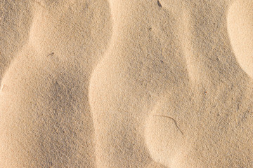 Beach closeup sand texture background