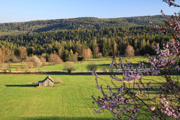 Frühling im Schwarzwald