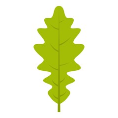 Green oak leaf icon isolated