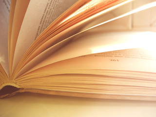 Pages in opened book 