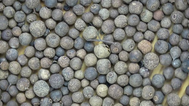 Rotating allspice Pimenta dioica food background