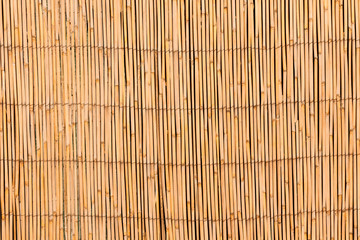 Curtain screen of reeds
