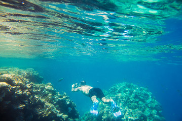 Fototapeta premium beautiful and diverse coral reef and fish of the red sea