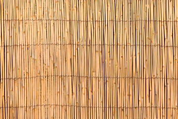  Curtain screen of reeds