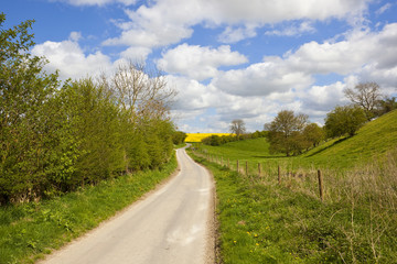 springtime yorkshire landscape