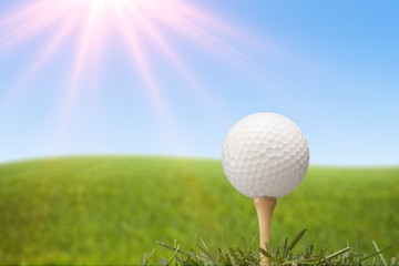Golf ball in garden.
