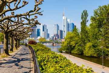 Frankfurt am Main, Sachsenhäuser Ufer. Rechts die Maininsel, im Hintergrund die Skyline. April 2017. - obrazy, fototapety, plakaty