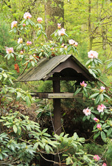 Fototapeta na wymiar wooden bird feeder in the blooming rhododendron bush