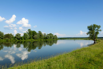 The coast of the river on a sunny summer day.