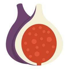 Half of fig fruit icon isolated