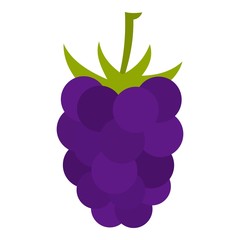 Fresh blackberry icon isolated