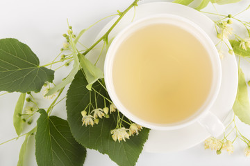 Hot linden tea in a fine white porcelain cup, studio shot over white background. Large-leaved Linden