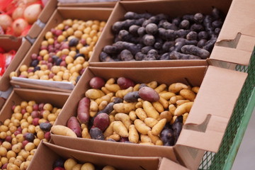 Variety of potatoes