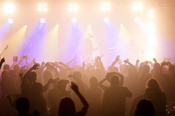 The audience at a concert with arms raised in silhouette