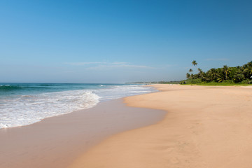 Fototapeta na wymiar Coast of the Indian Ocean in Sri Lanka