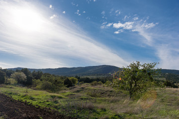 Mountain forest landscape under evening sky with clouds in sunlight with blooming apple tree