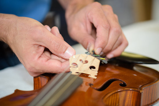 connecting the violin bridge