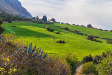 Obraz premium European Highlands. Sicilian Spring Landscape