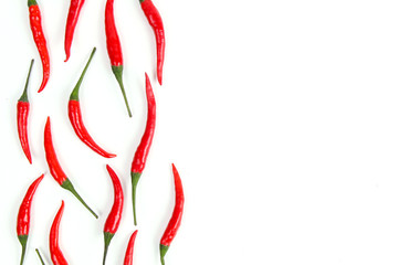 red chili pepper on white background with copy space