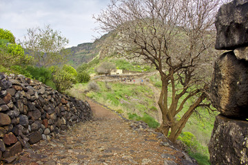 Road from ruins in Gamla, Israel