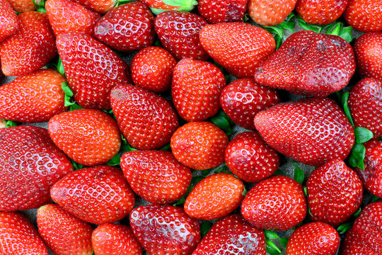 Erdbeeren-Verkauf Images – Browse 10 Stock Photos, Vectors, and Video |  Adobe Stock